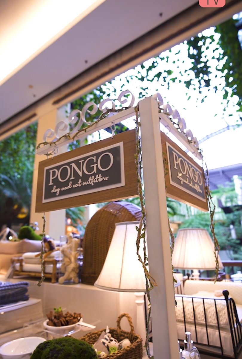 PONGO Dog and Cat Outfitters