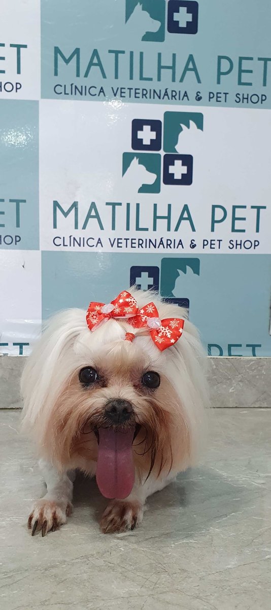 Clínica Veterinária Matilha Pet