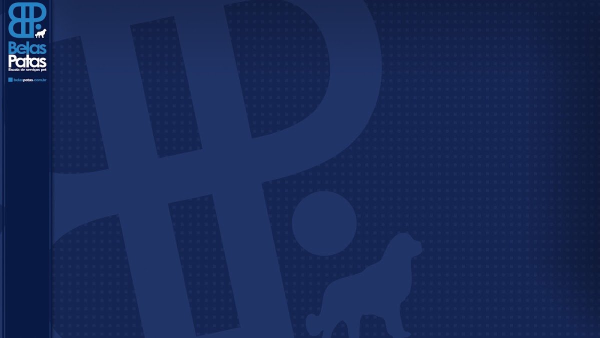 Belas Patas - Curso e Loja de Equipamentos de Banho e Tosa