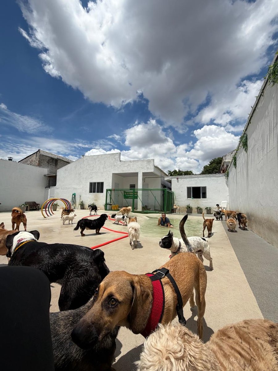 Pet Parque & Hotel São Francisco