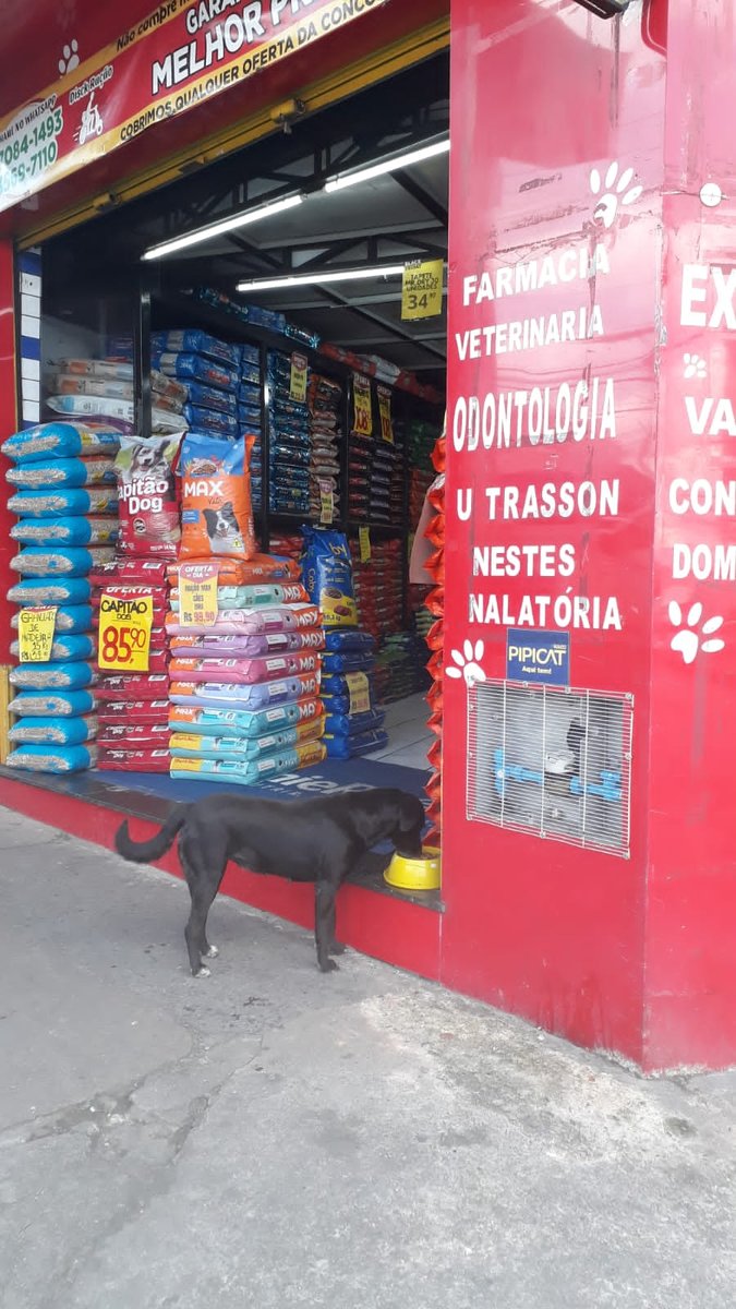 Pet Shop Cricao