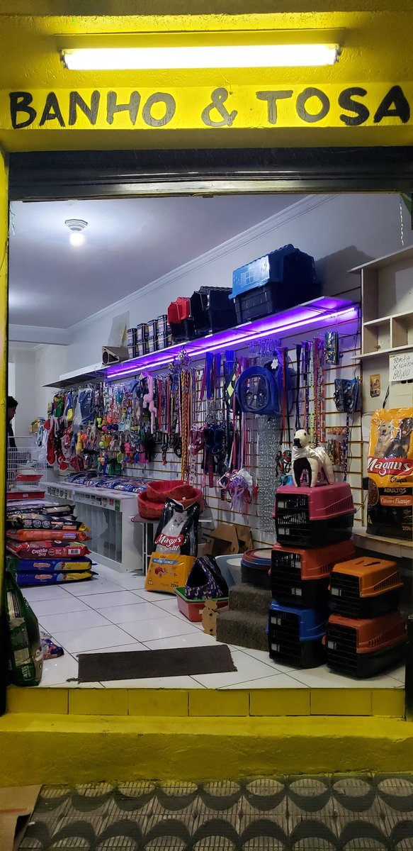 Sao mateus pet shop - Os American Pitbull Terrie