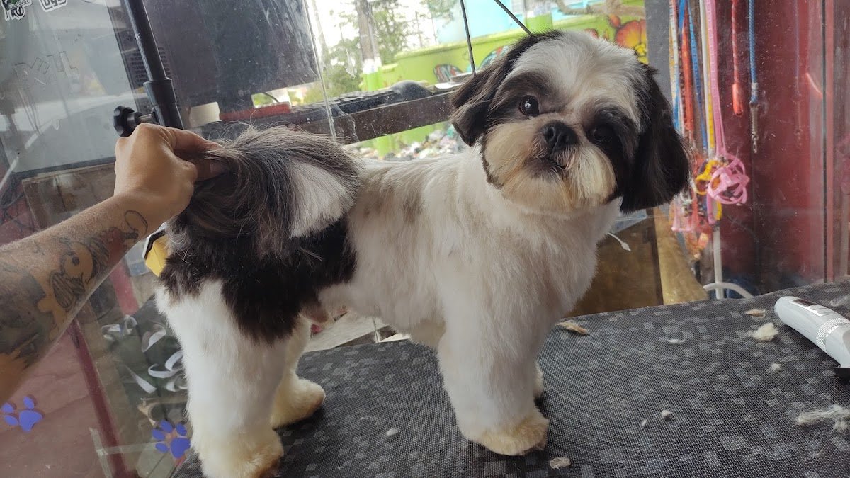 Pet Shop Eskina dos Pet's