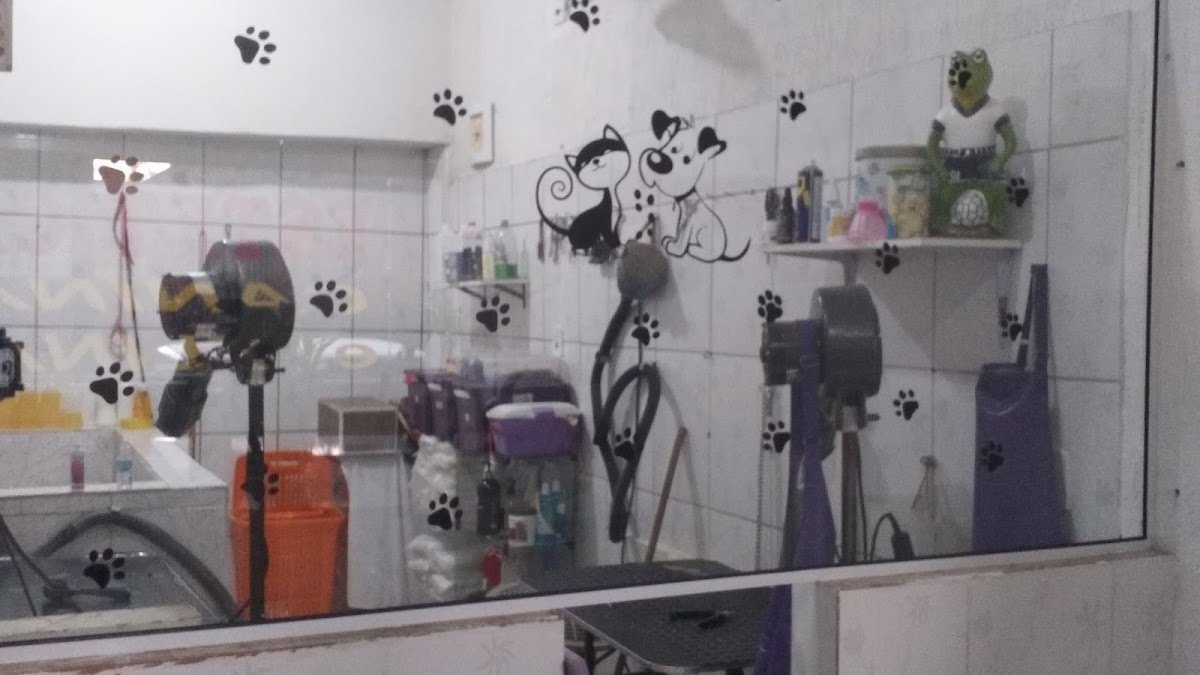 Estética Canina e Felina