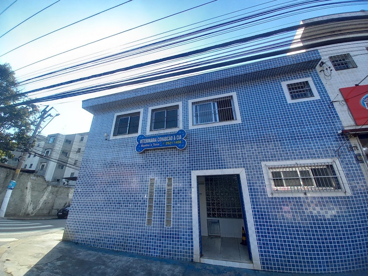 Veterinário - COHAB Cão.