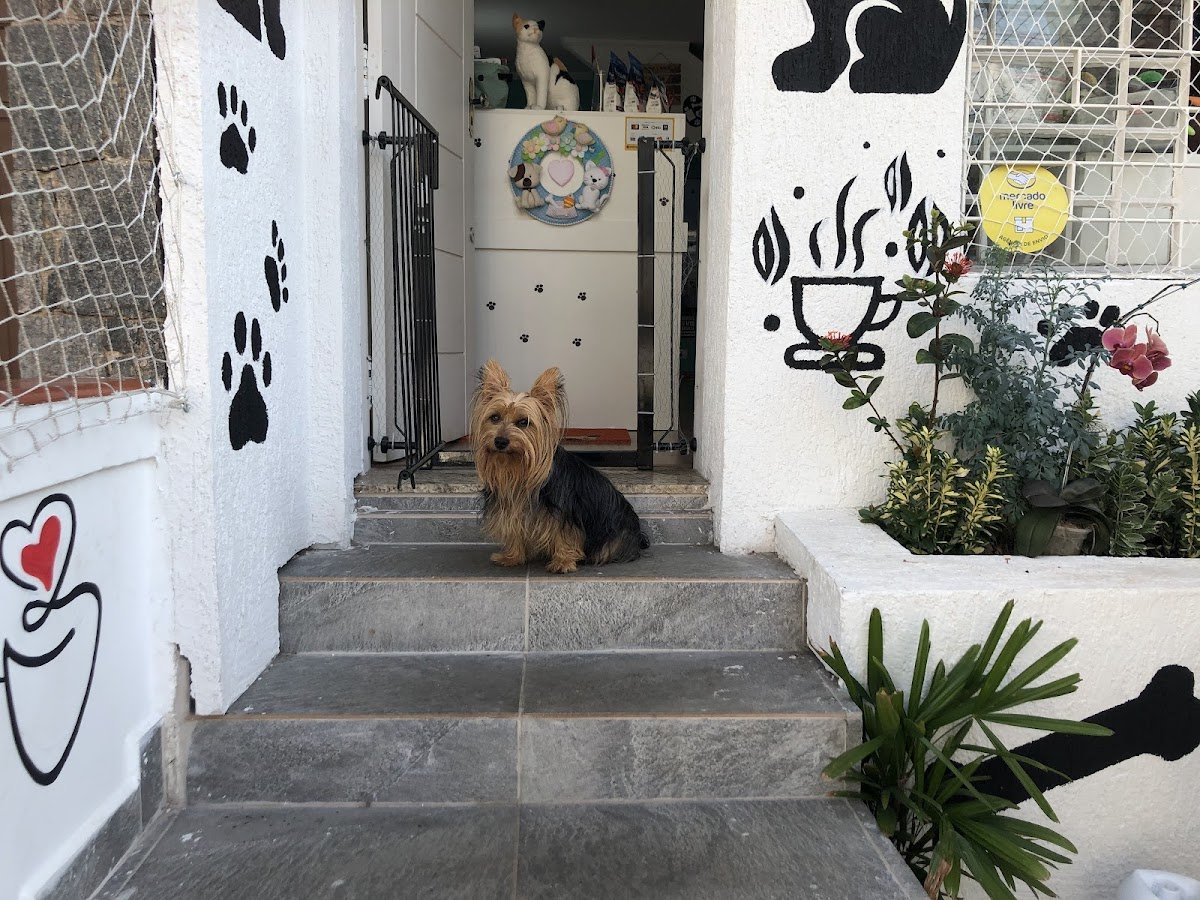 Dog in The City petshop