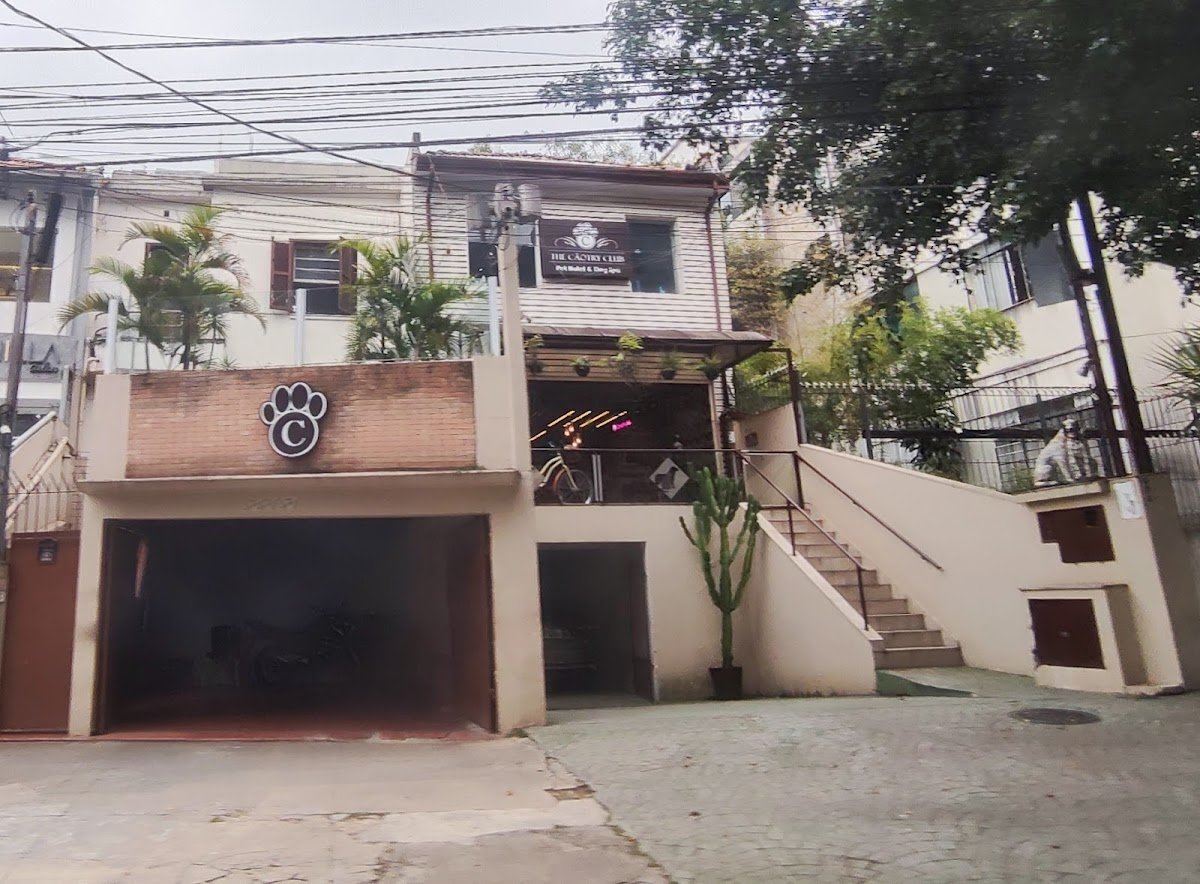 The Cãotry Club - Pet Resort