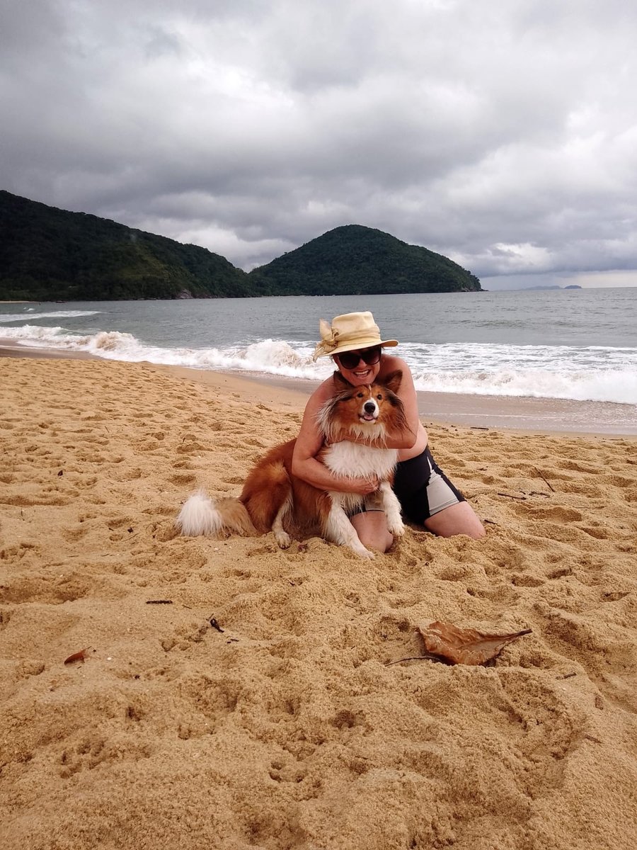 SULA VET - Clínica Veterinária