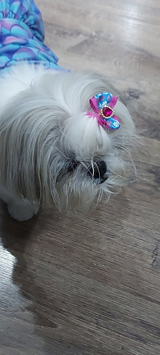 Farmacia Le Pet Santé