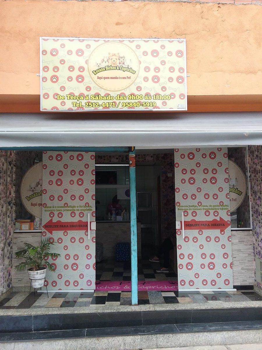 Rosana Bichos e Caprichos