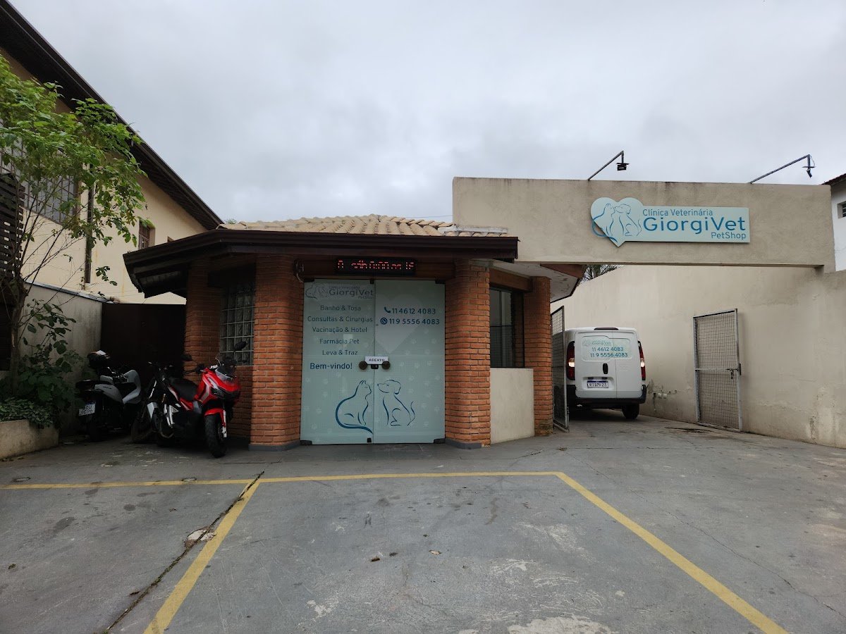 GiorgiVet | Clinica Veterinária