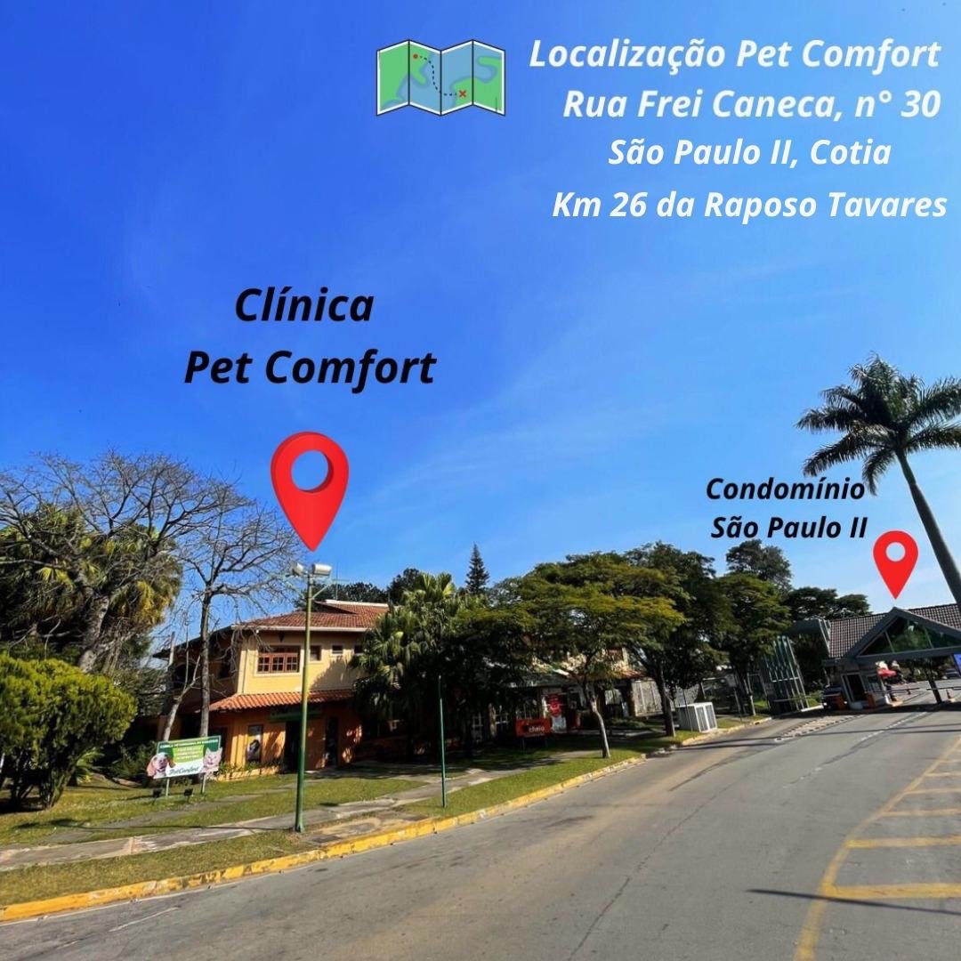 Pet Comfort (Medicina Integrativa para o seu Pet)
