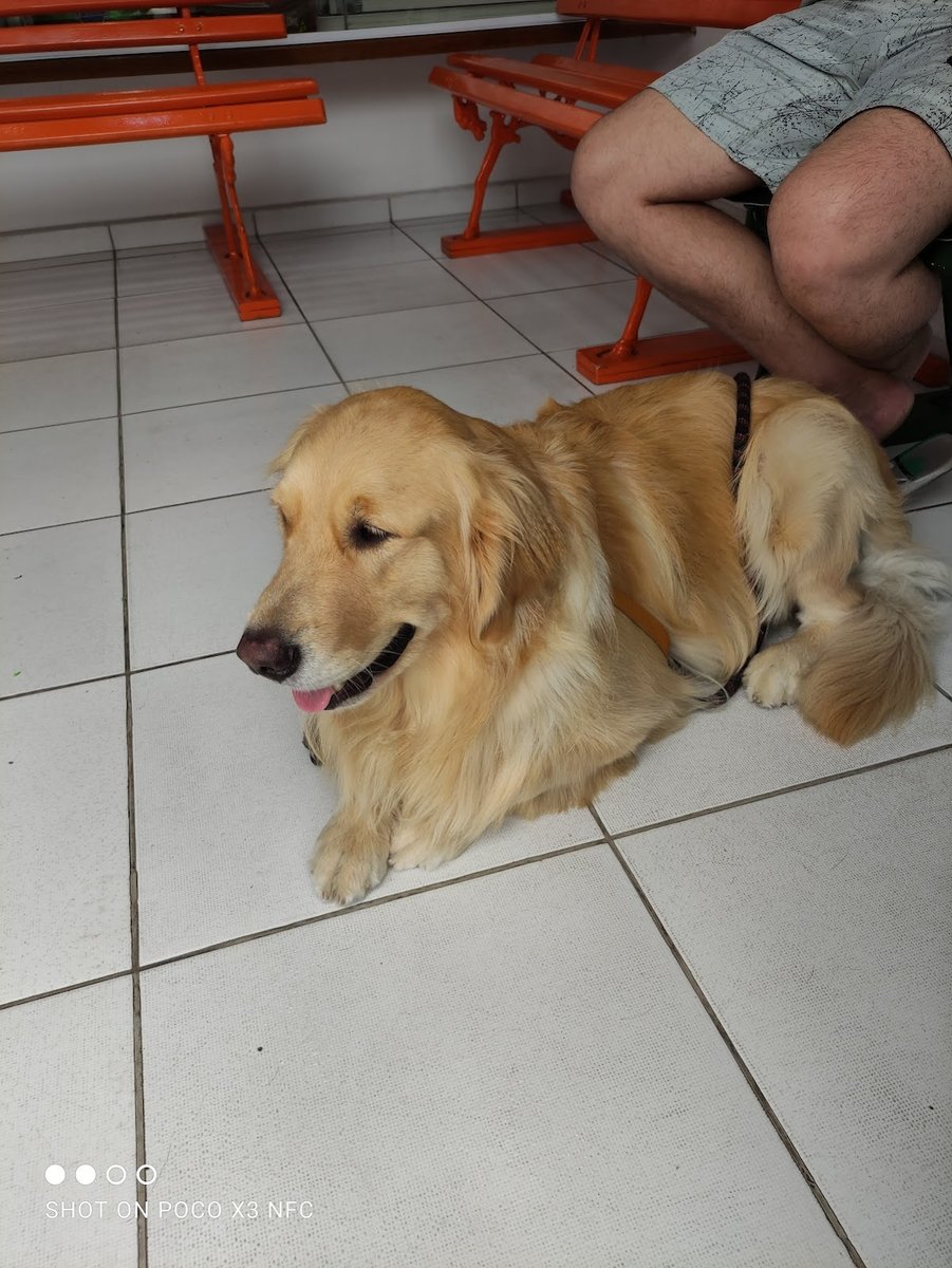 Veterinary clinic Ecãologico