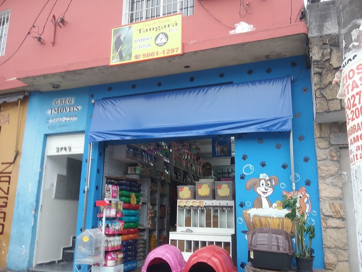 Tangará Rei A Casa do Passarinheiro