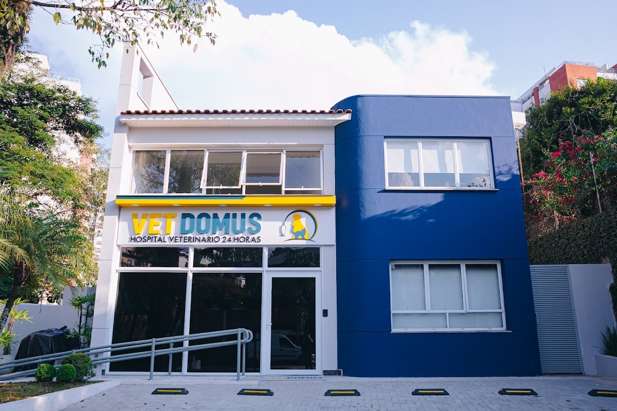 Vet Domus | Hospital Veterinário 24H