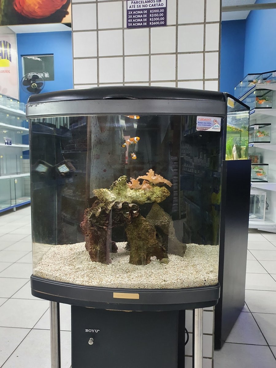 Pet Maxi - Hipermercado do Animal