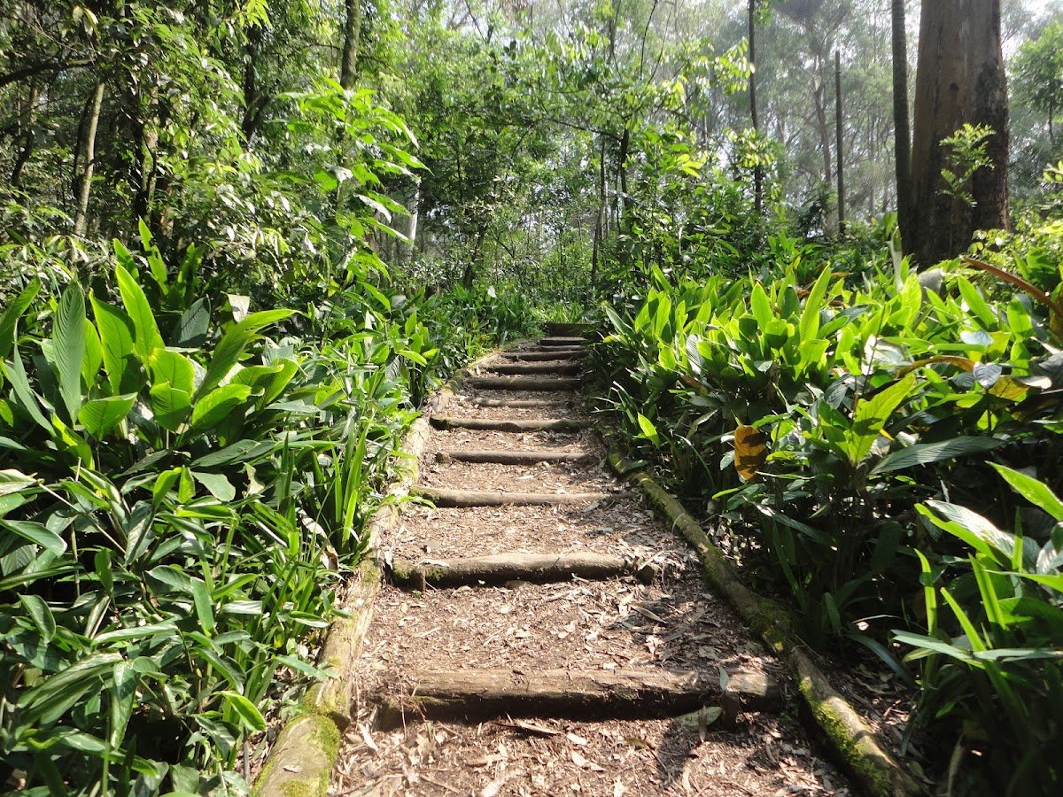 Regional Municipality - M'Boi Mirim