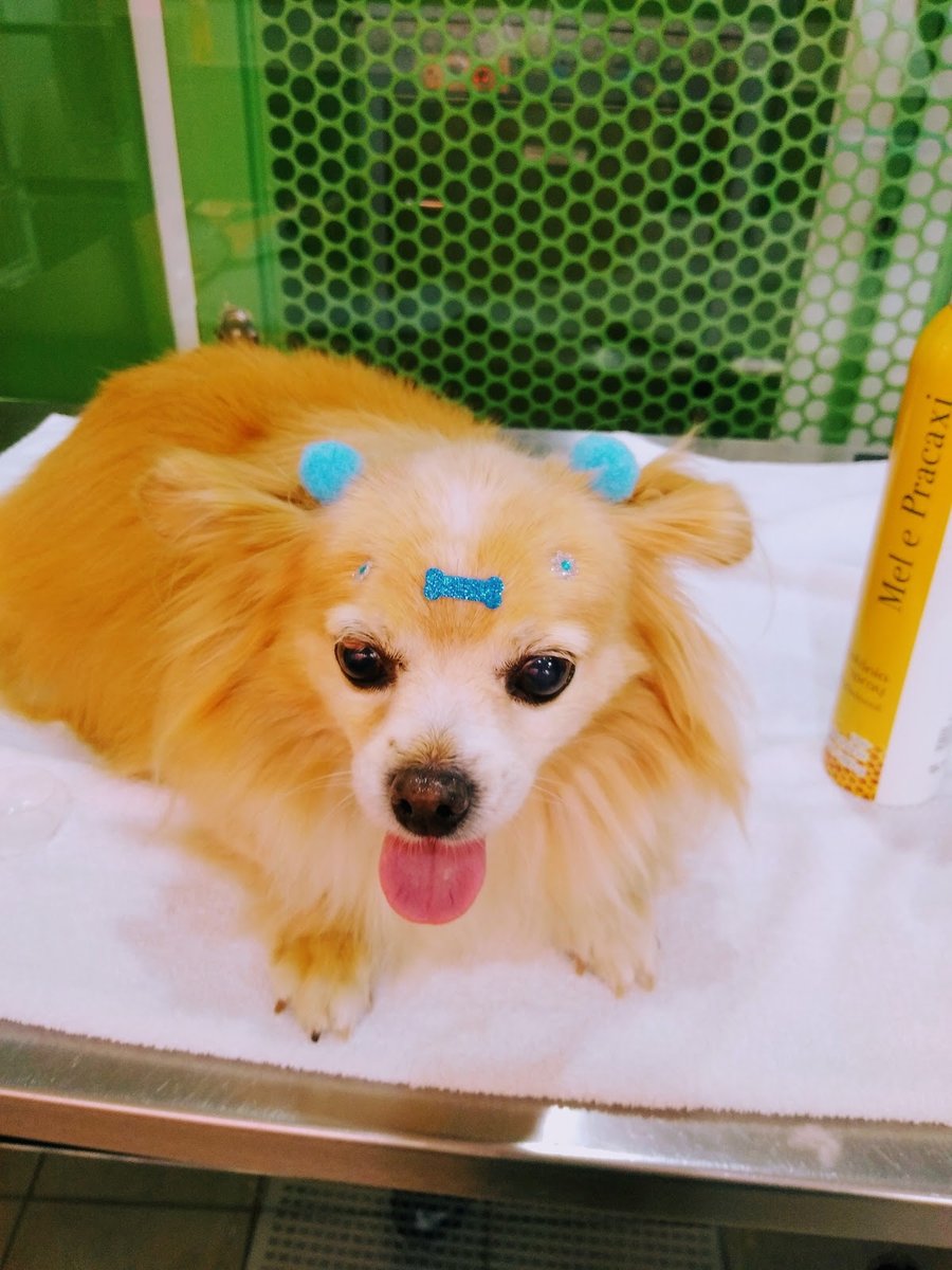 Tomaretus Pet Shop e Clínica Veterinária