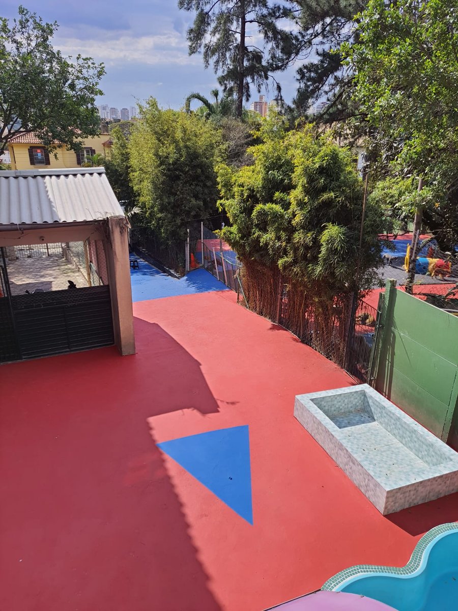 Higienópolis Dog Care