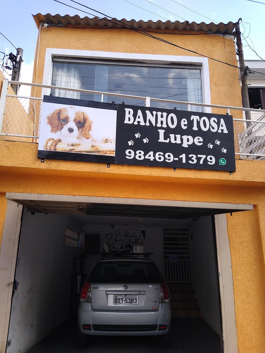 Banho E Tosa Lupe