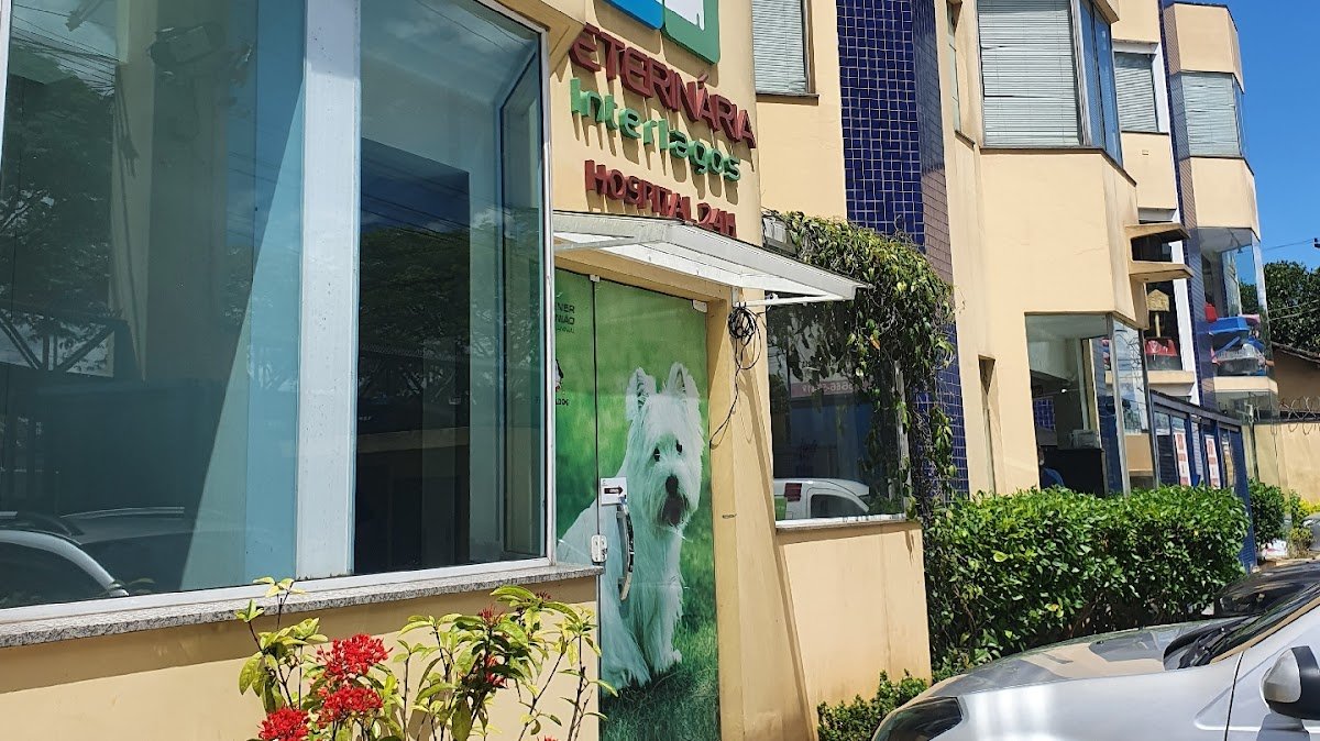 Veterinária Interlagos - Hospital 24 horas - Zona Sul de São Paulo