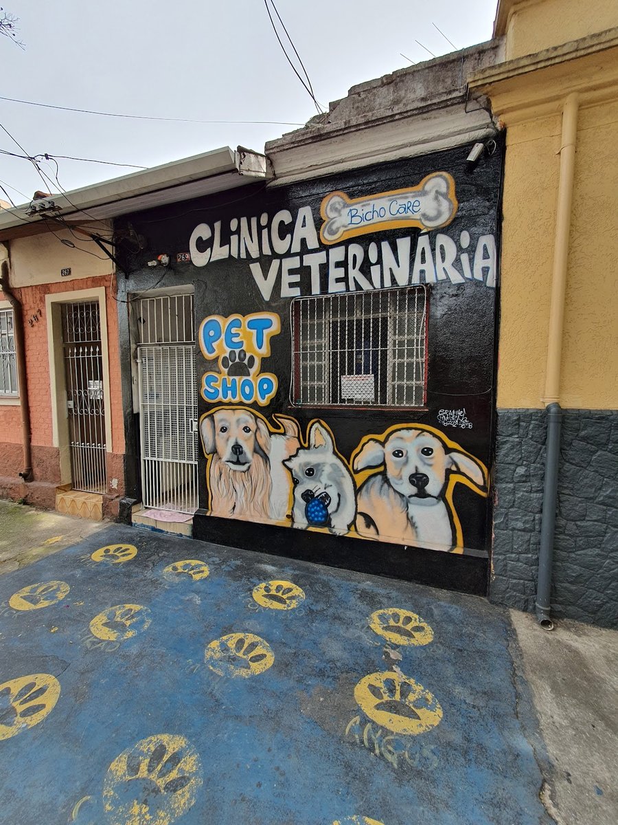 Clínica veterinária Bicho Care