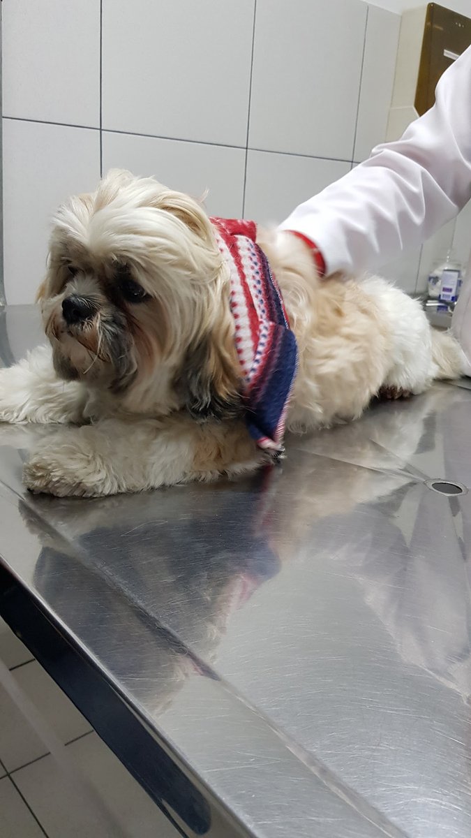 Toca Dos Bichos - Pet Shop Veterinário