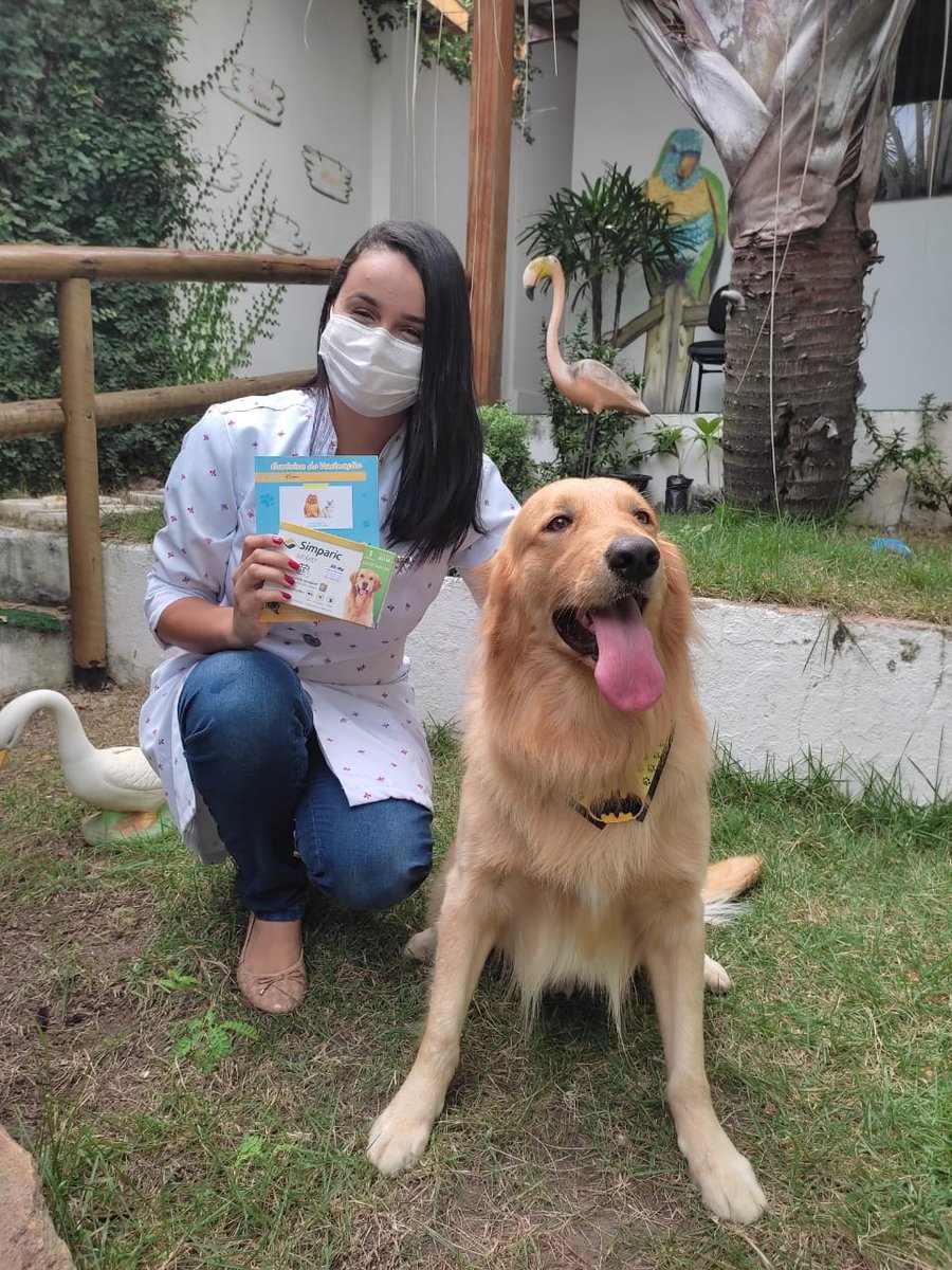 Só Pássaros Pet Shop e Consultório Veterinário