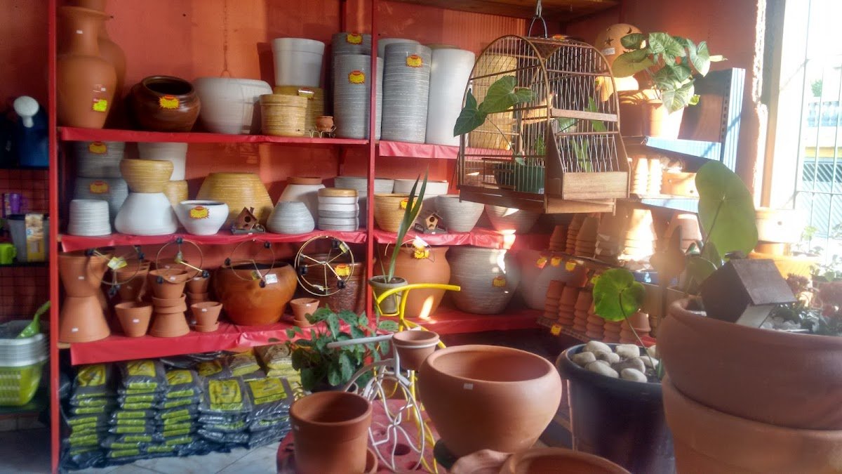 Amigão Banho E Tosa