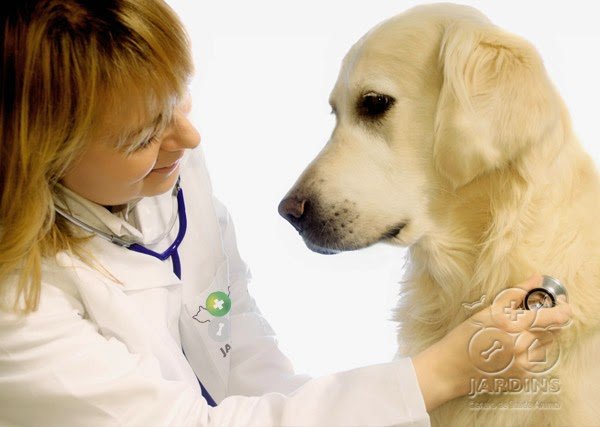 Centro de Saúde Animal Jardins