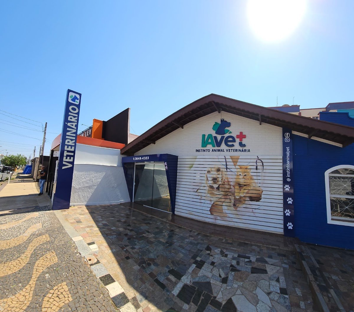 IAvet - Instinto Animal Veterinária