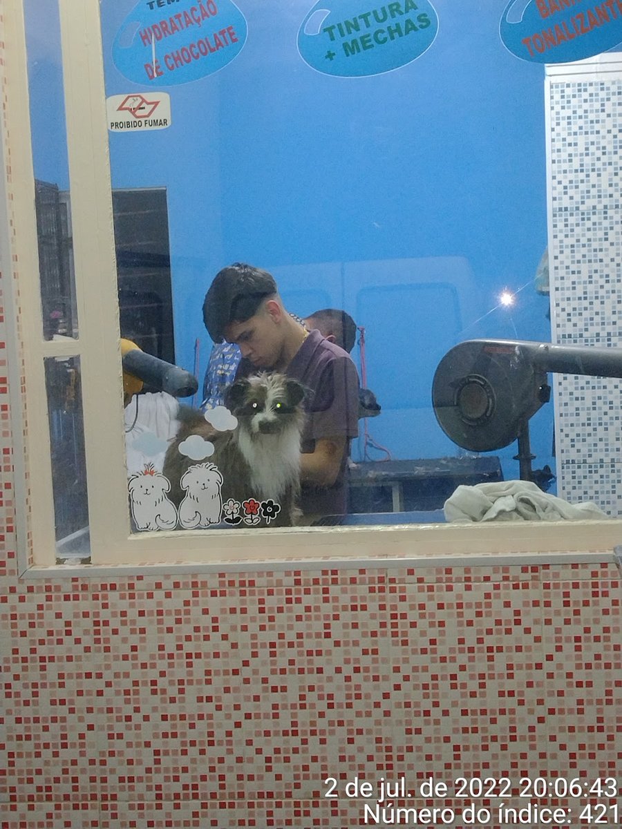 Pet Shop Bicho Lindo