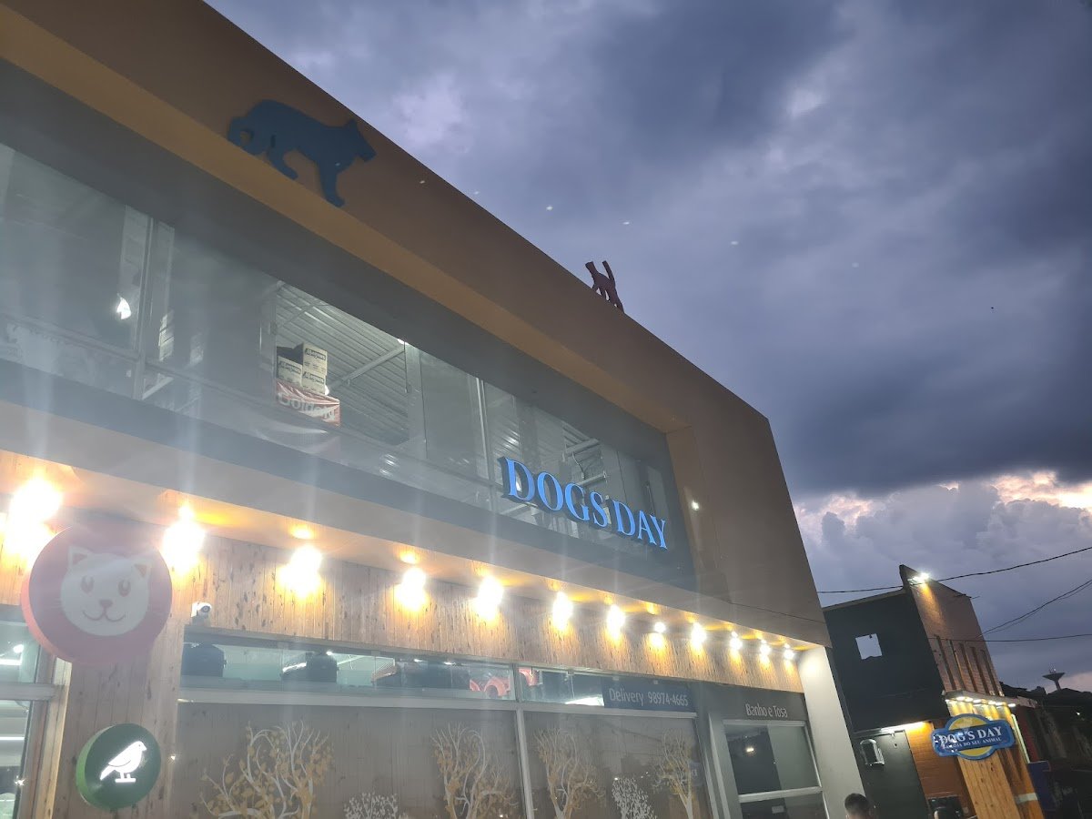 Dog's Day - Artur Alvim