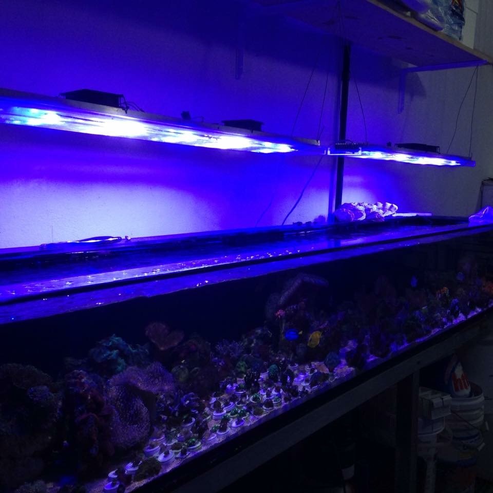 Assunção Aquáticos - ATENDIMENTO SOMENTE COM AGENDAMENTO