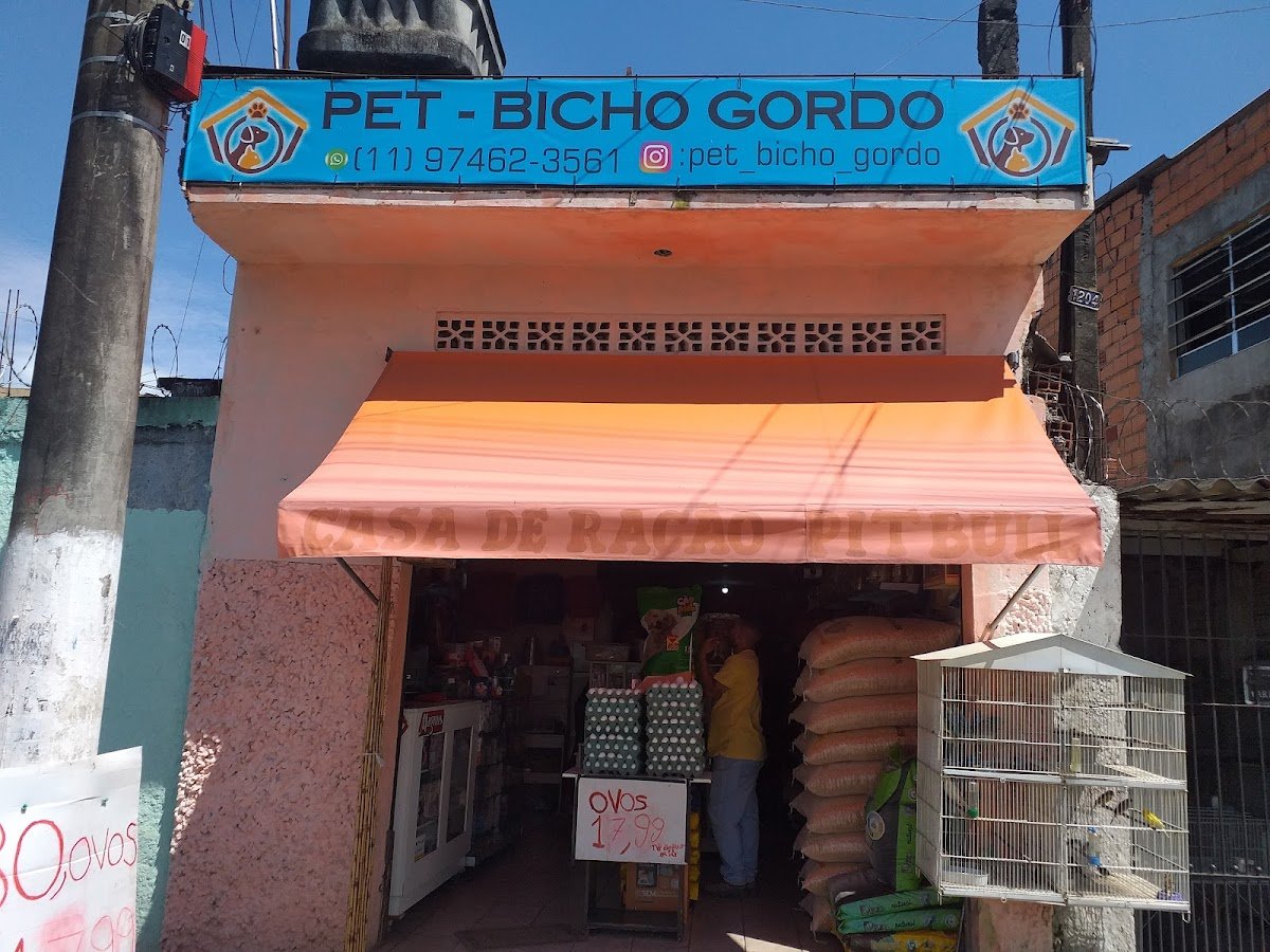 PET BICHO GORDO