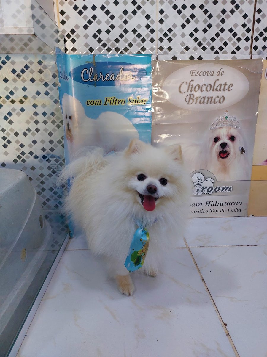 Pet Shop Caobeleireiro