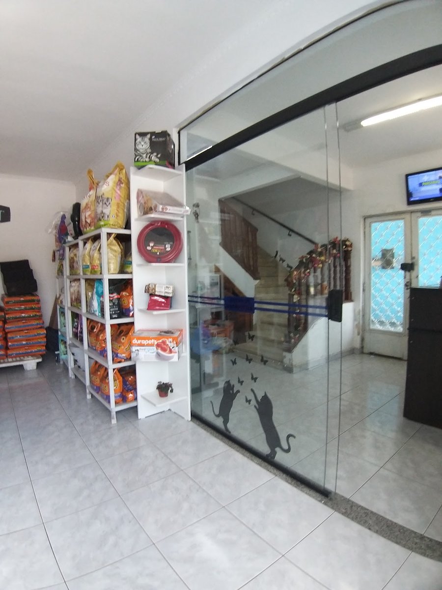 Veterinária - Dra. Graziela M. Vieira Planeta Bicharada