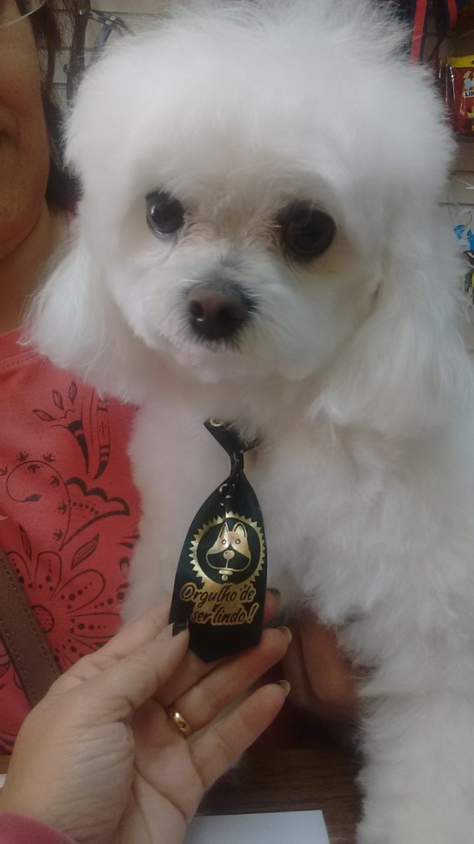 Xandog's Pet Shop e Clínica Veterinária