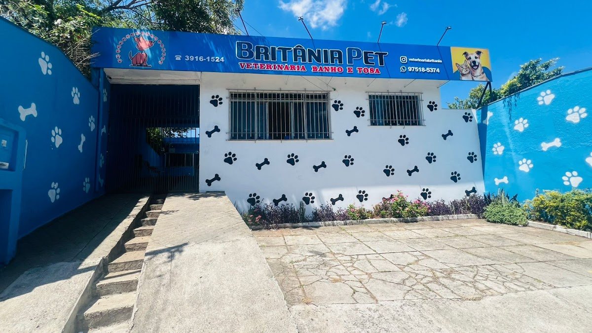 Consultório Veterinário Britânia - Dr. Augusto