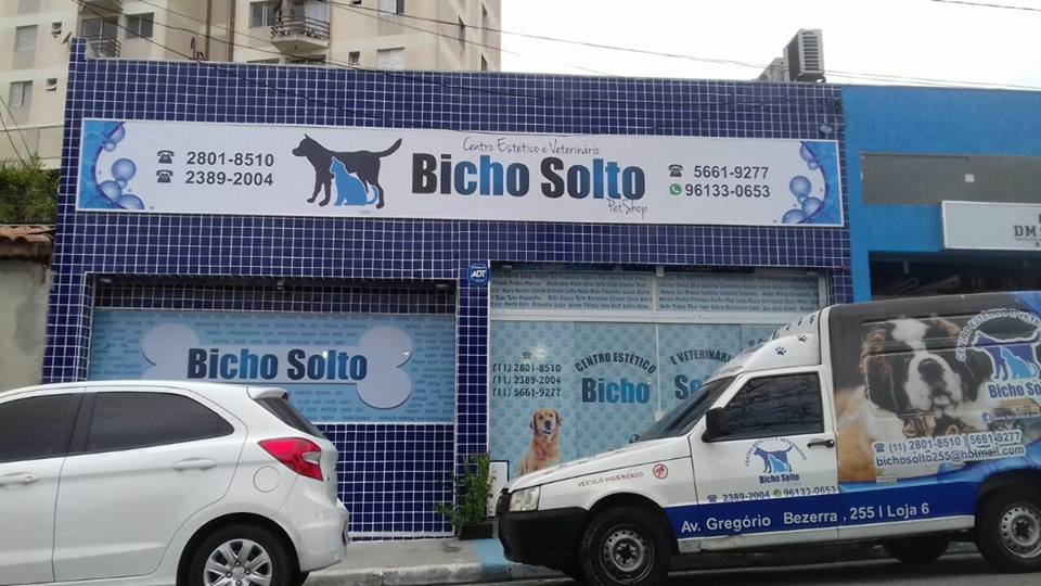 Bicho Solto Pet
