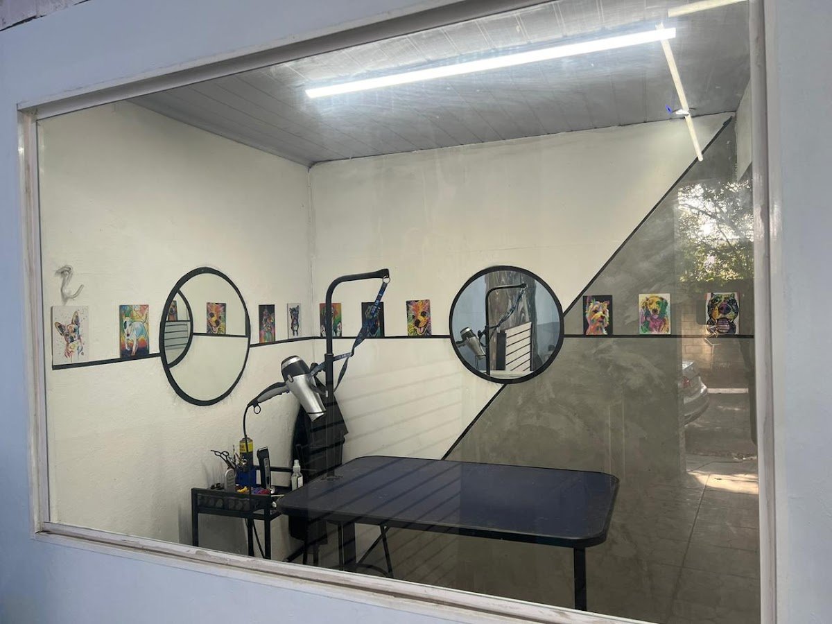 O Cantinho do Sauro - Pet Shop