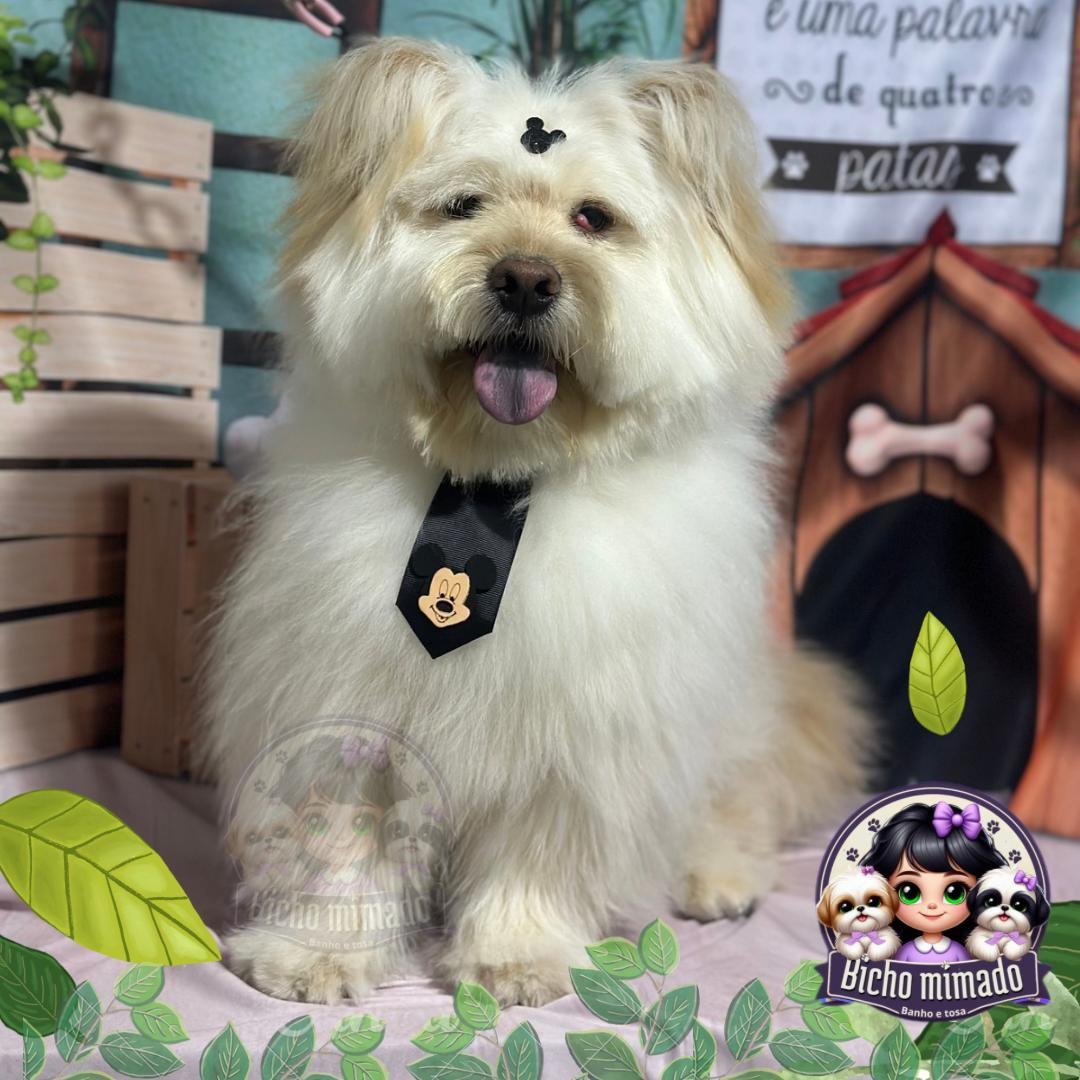 Bicho Mimado Petshop