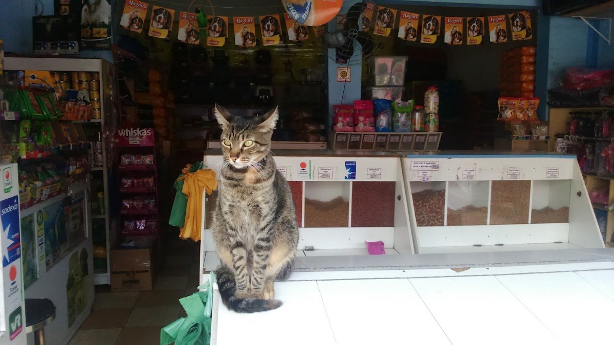 Casa de Ração Parque São Paulo