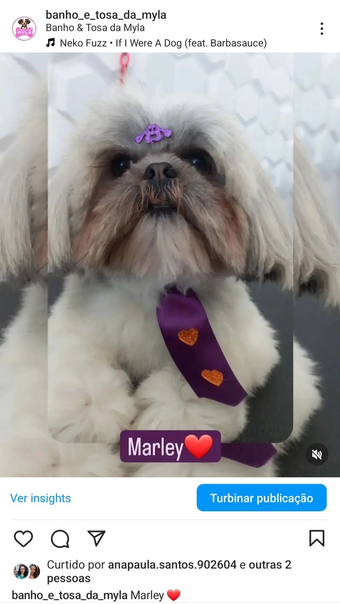 Banho e Tosa da Myla