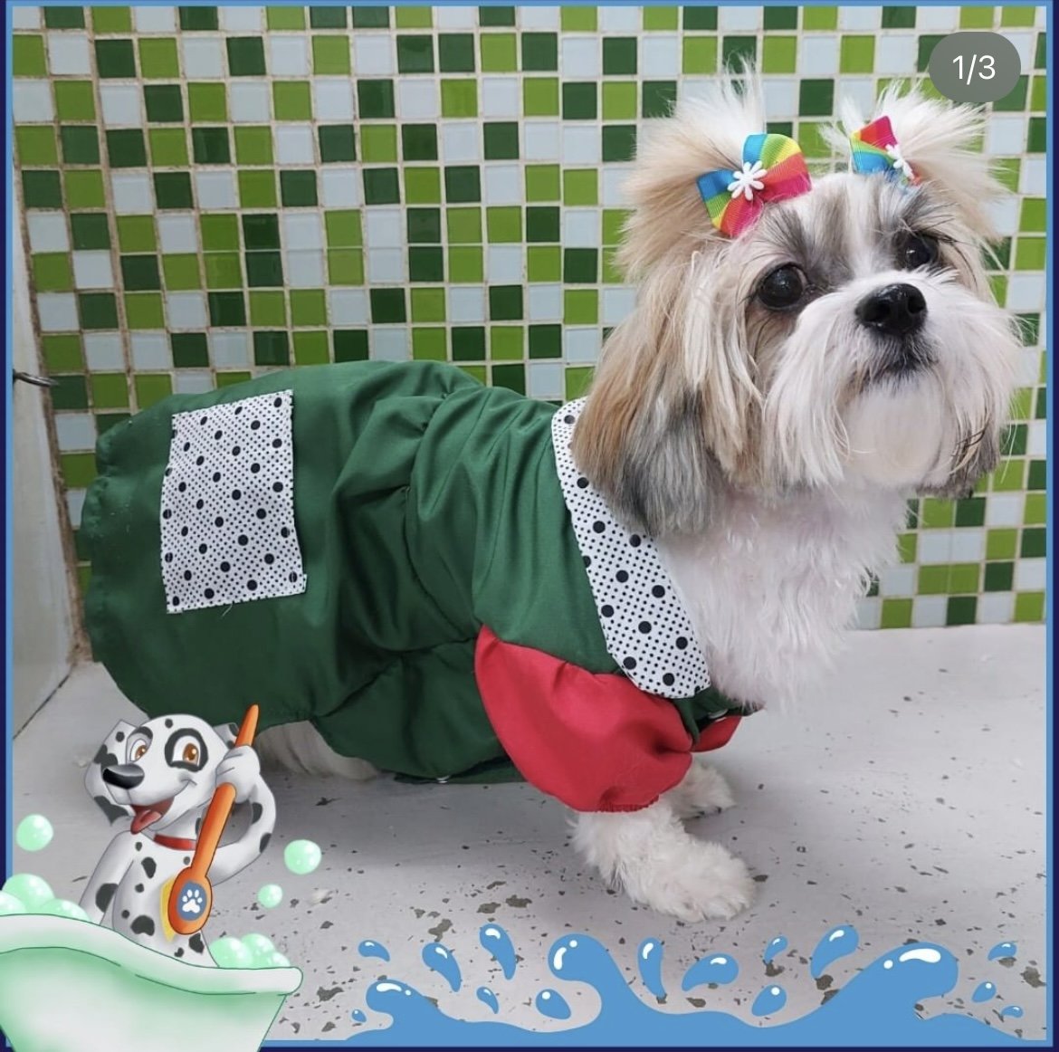 Gomes Mundo Pet | Apura | Pet Shop | Banho e Tosa | Veterinário