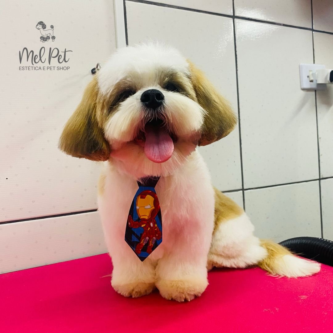 Mel pet - Estética e petshop