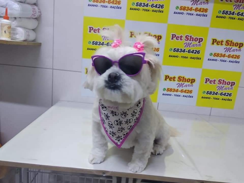 Pet shop Mara