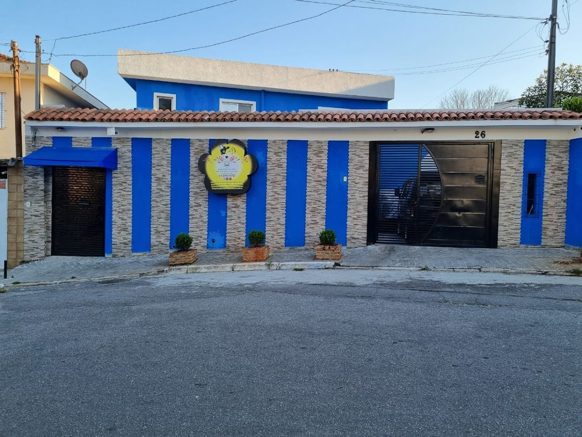 Pet Shop SPA Black Poodle White