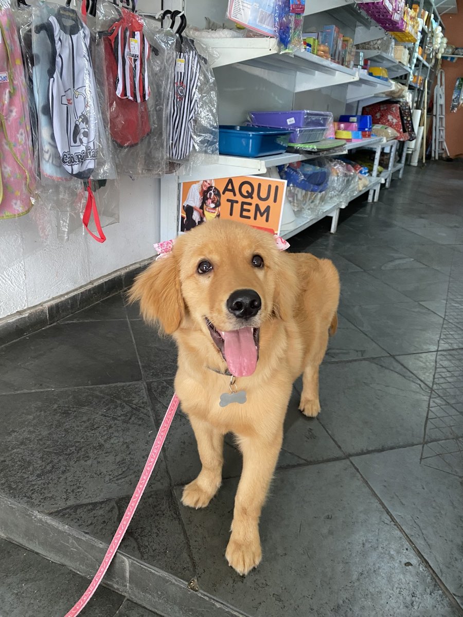 Pet Shop 2 amigos rações