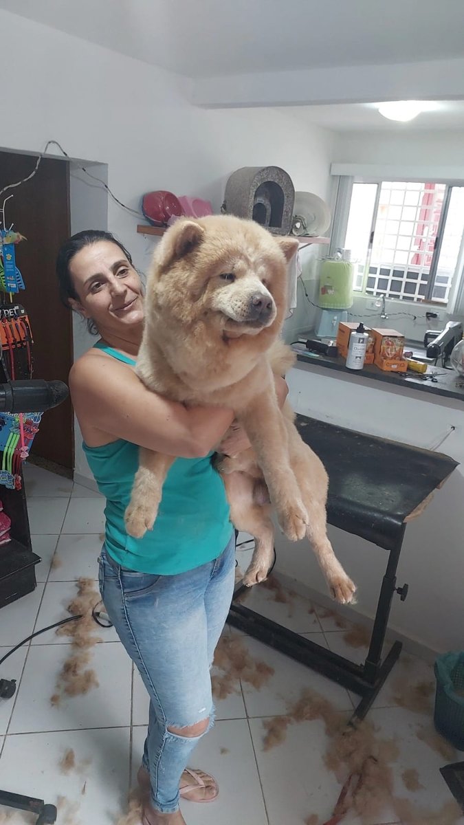 Pet Shop Santa Felicidade